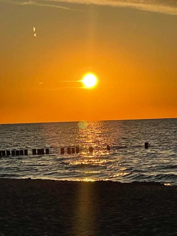 Sonnendeck 3 * Zingst